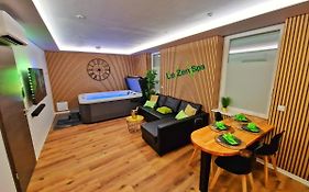 Zen Spa-4 Pers-Jacuzzi-Parking-Clim-Colmar